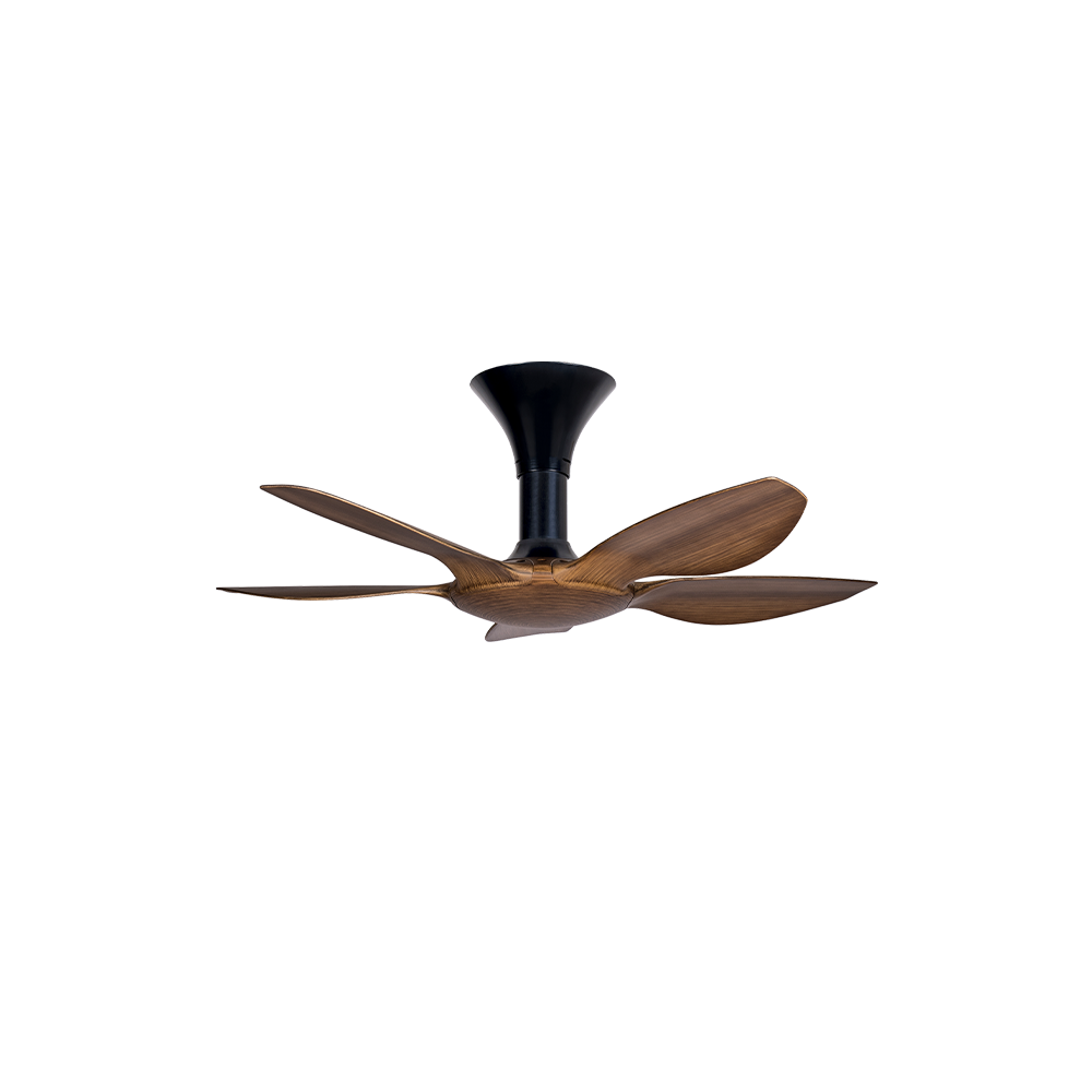 AX70-5B/40 Walnut